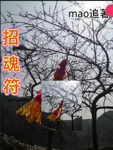 小女花不弃东方炻